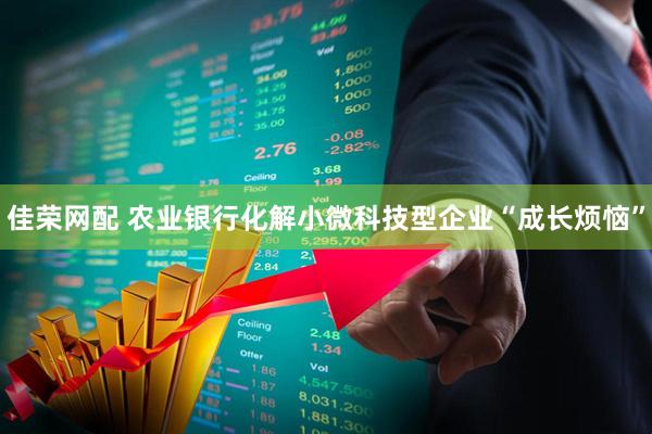 佳荣网配 农业银行化解小微科技型企业“成长烦恼”