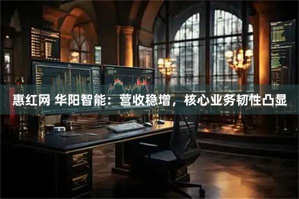 惠红网 华阳智能：营收稳增，核心业务韧性凸显
