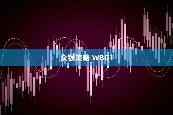 众银策略 WBG1