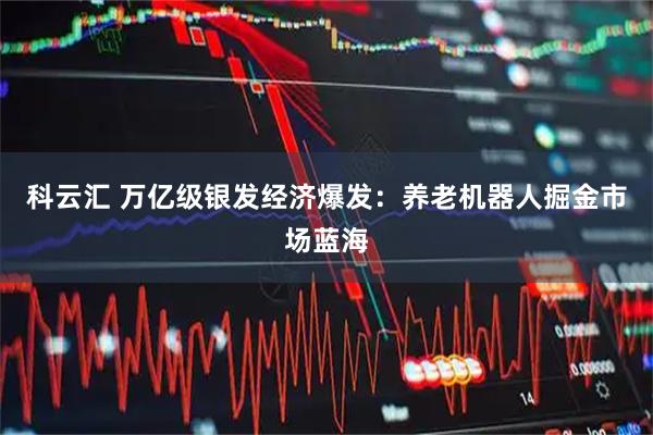 科云汇 万亿级银发经济爆发：养老机器人掘金市场蓝海