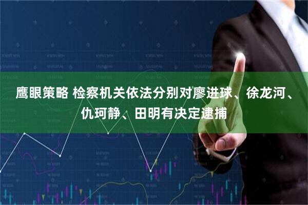 鹰眼策略 检察机关依法分别对廖进球、徐龙河、仇珂静、田明有决定逮捕